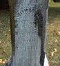 Image of WITHERINGTON, Newton Stanley