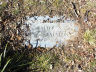 WALSTON, Walter S. (headstone)